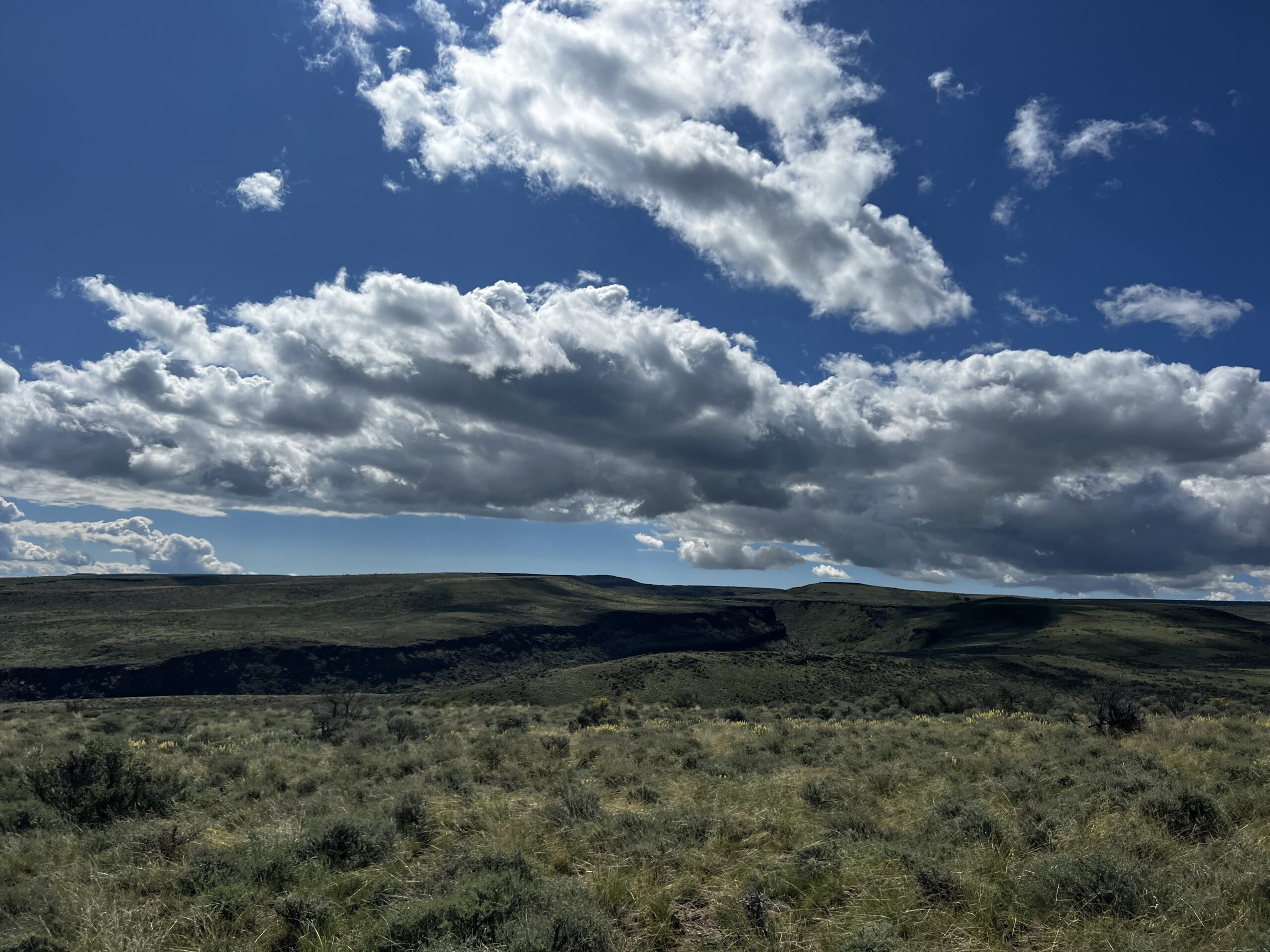 Southern Idaho Conservation Bank