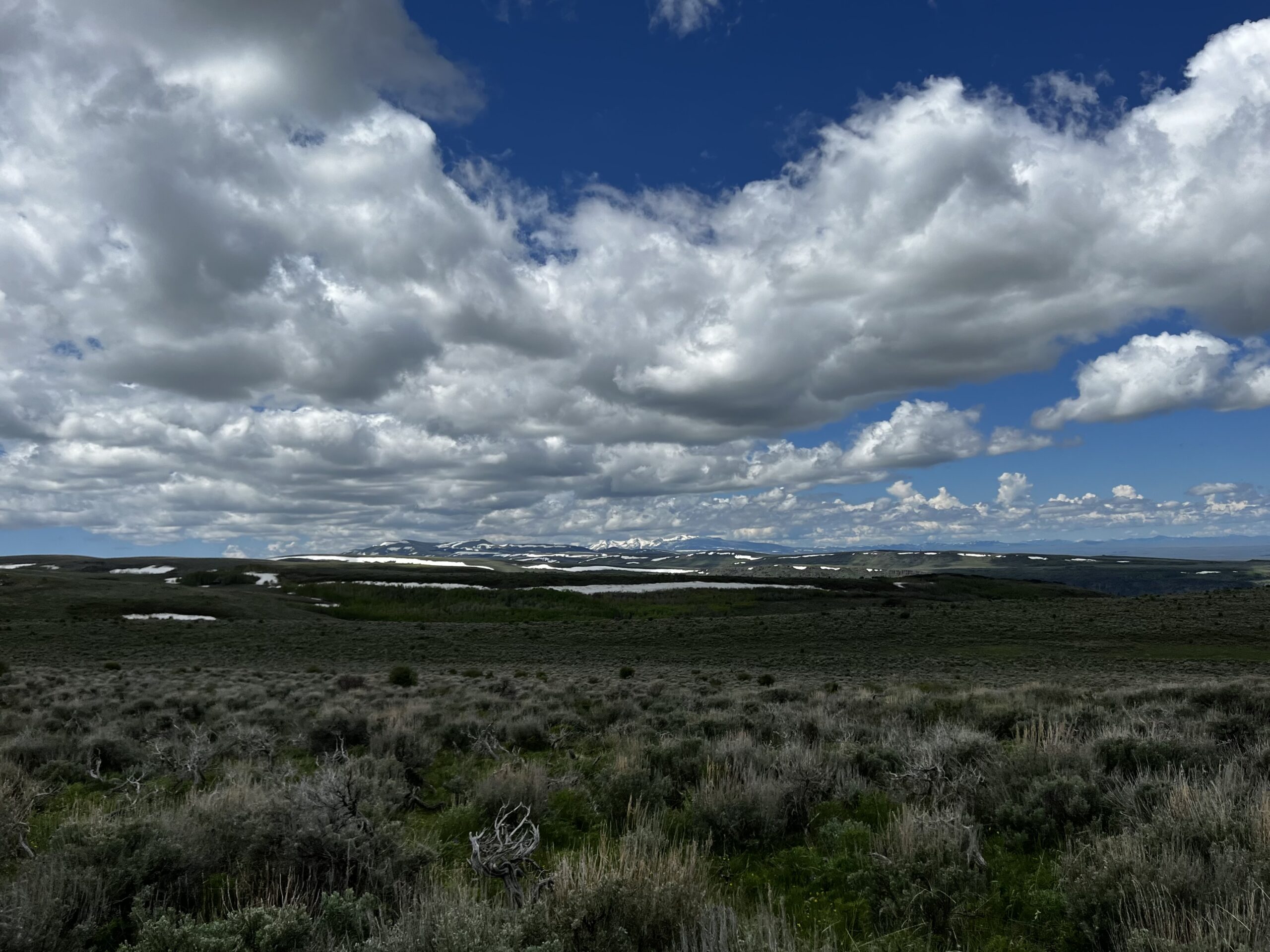 Southern Idaho Conservation Bank
