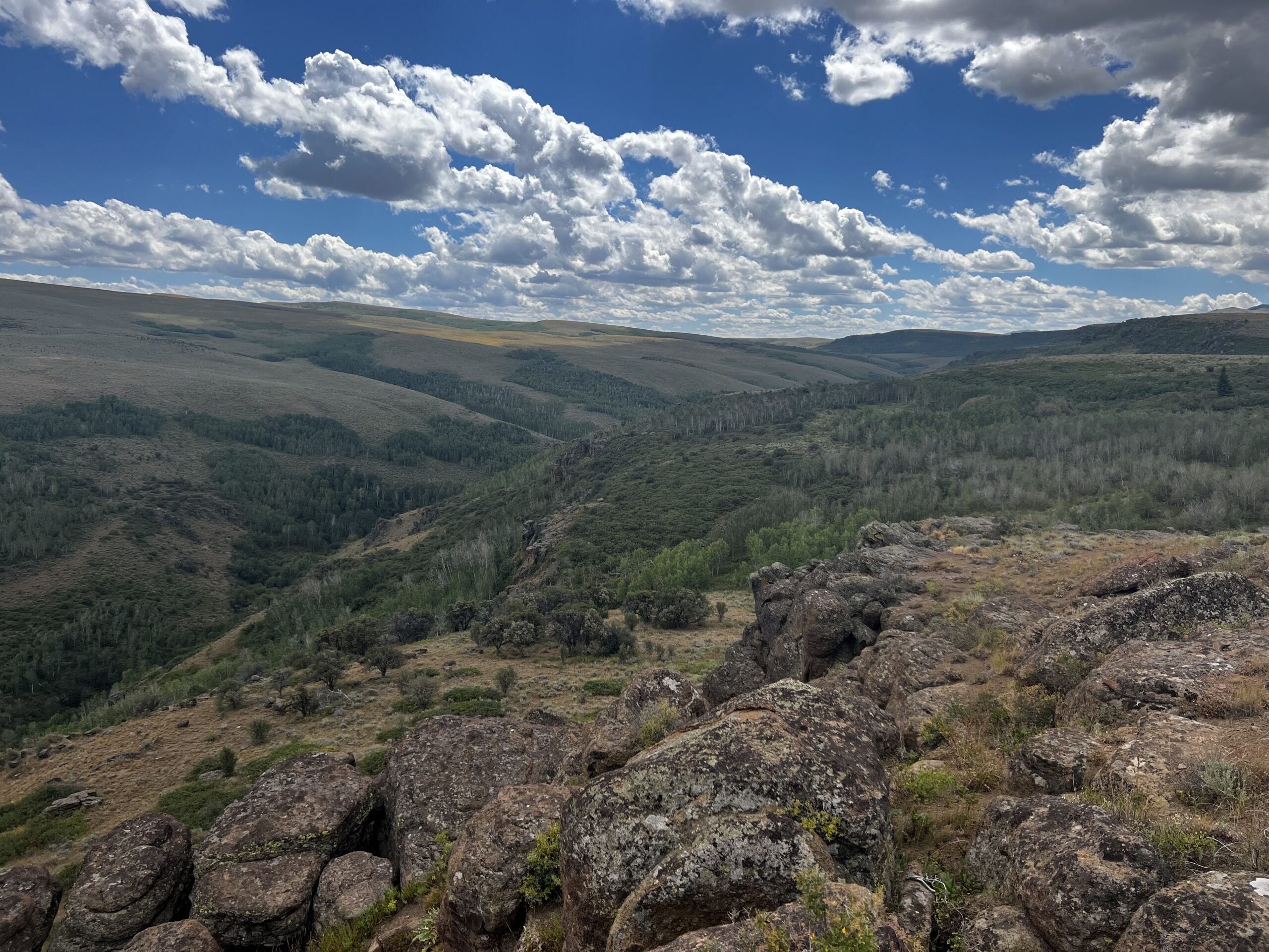Southern Idaho Conservation Bank