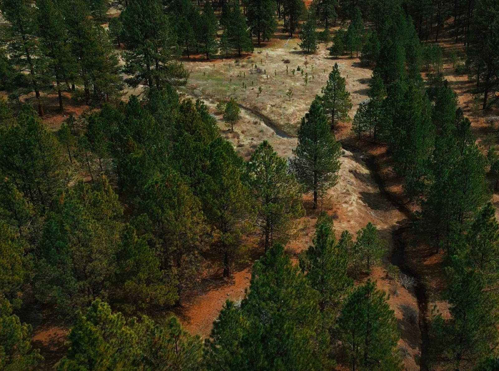 West Ochoco Conservation Bank