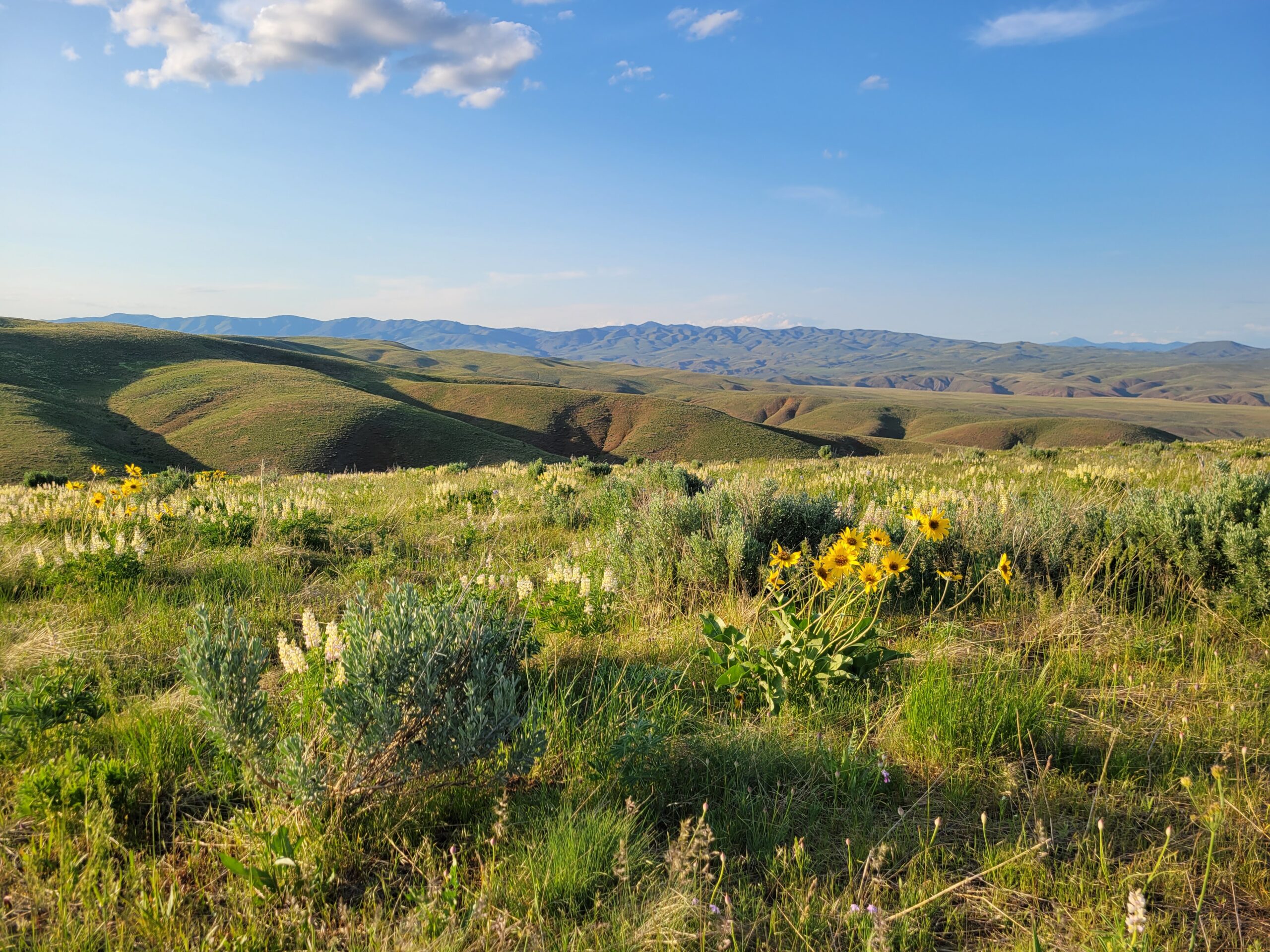 Northern Great Basin Conservation Bank