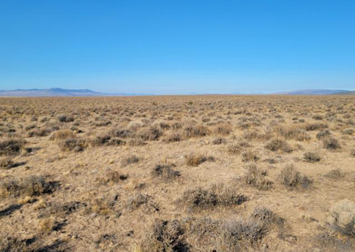 Central Oregon Conservation Bank