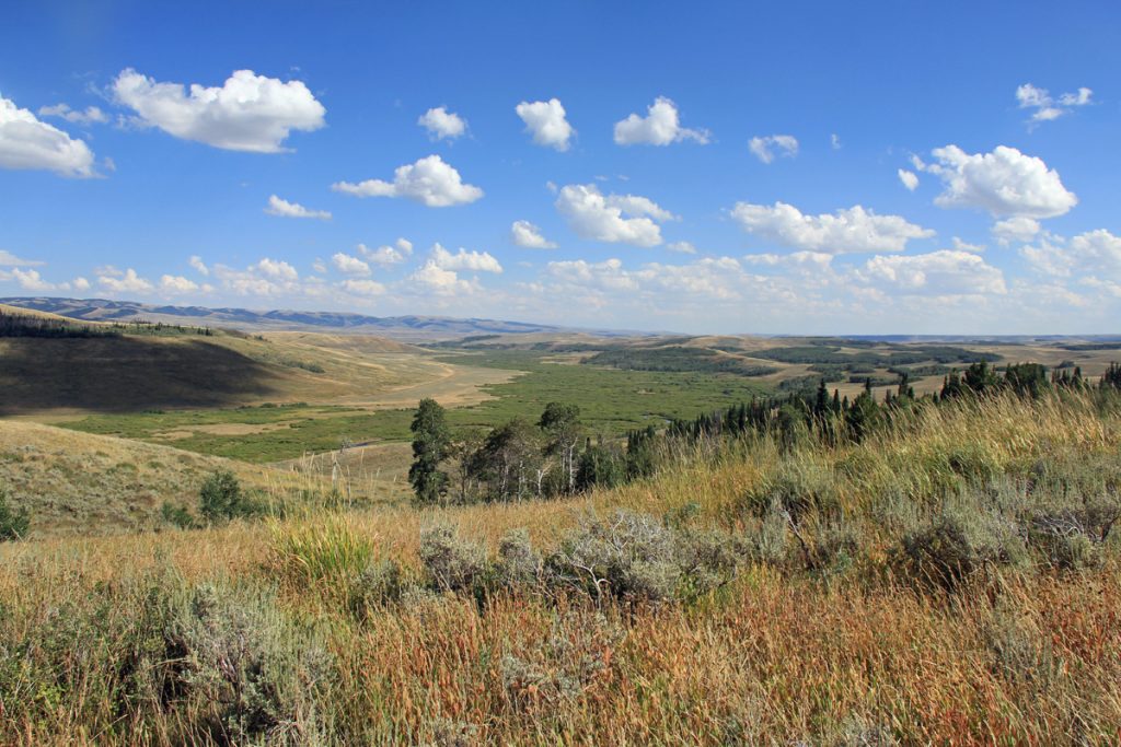 Dempsey Ridge Conservation Bank